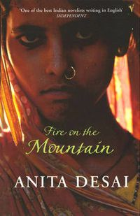 Cover image for Fire on the Mountain