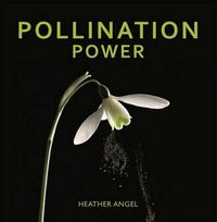 Cover image for Pollination Power