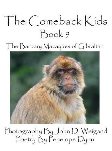 Cover image for The Comeback Kids -- Book 9 -- The Barbary Macaques of Gibraltar