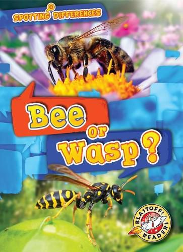 Cover image for Bee or Wasp