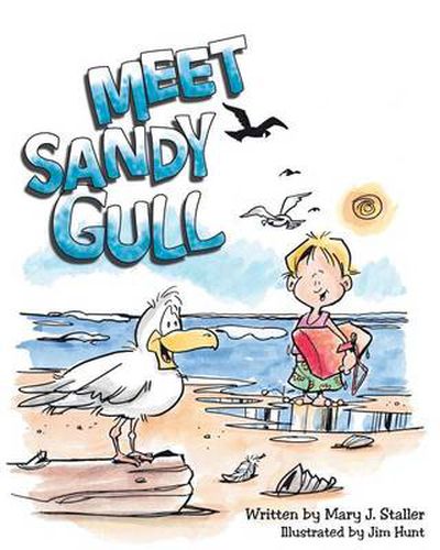 Cover image for Meet Sandy Gull