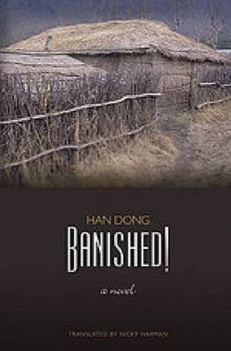 Cover image for Banished!