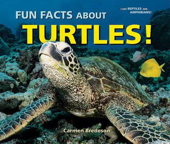 Cover image for Fun Facts About Turtles!