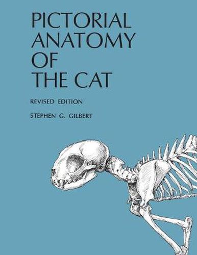 Cover image for Pictorial Anatomy of the Cat