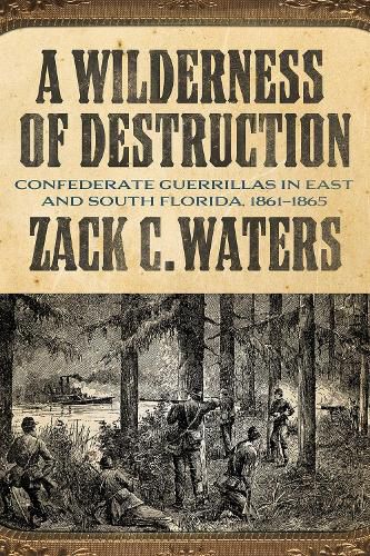 Cover image for A Wilderness of Destruction