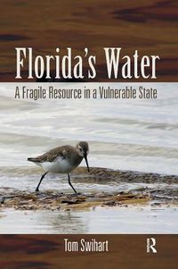 Cover image for Florida's Water