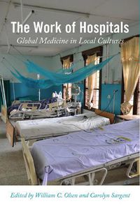 Cover image for Work of Hospitals: Global Medicine in Local Culture