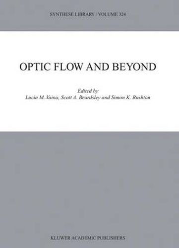 Optic Flow and Beyond