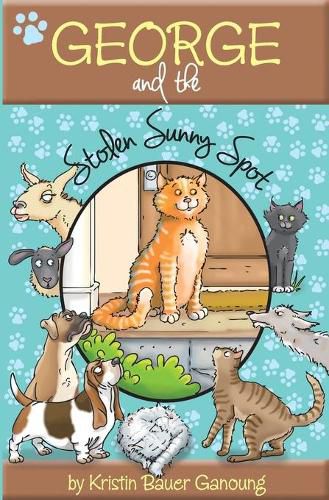 Cover image for George and the Stolen Sunny Spot