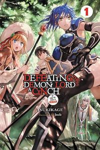 Cover image for Defeating the Demon Lord's a Cinch (If You've Got a Ringer) Light Novel, Vol. 1