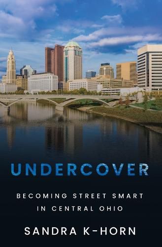 Cover image for Undercover