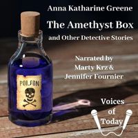 Cover image for The Amethyst Box and Other Detective Stories Lib/E