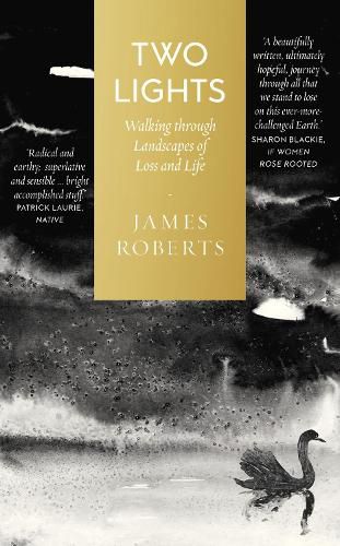 Cover image for Two Lights