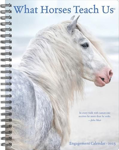Cover image for What Horses Teach Us 2023 Engagement Calendar