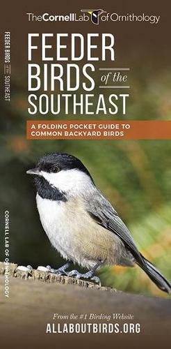 Cover image for Feeder Birds of the Southeast: A Folding Pocket Guide to Common Backyard Birds