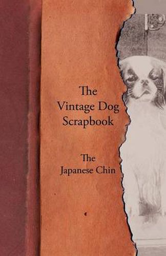 Cover image for The Vintage Dog Scrapbook - The Japanese Chin