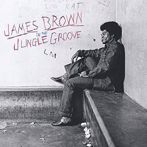 In The Jungle Groove *** Vinyl