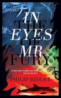 Cover image for In the Eyes of Mr Fury