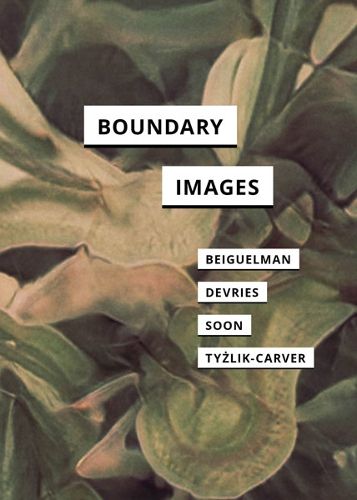 Cover image for Boundary Images