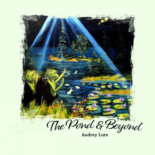 Cover image for The Pond and Beyond