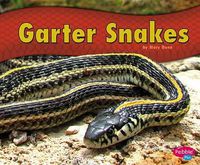 Cover image for Garter Snakes