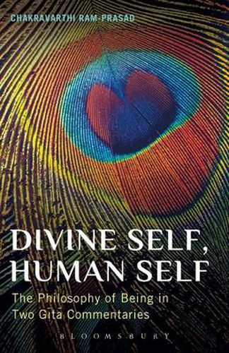 Cover image for Divine Self, Human Self: The Philosophy of Being in Two Gita Commentaries