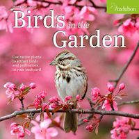 Cover image for Audubon Birds in the Garden Wall Calendar 2025