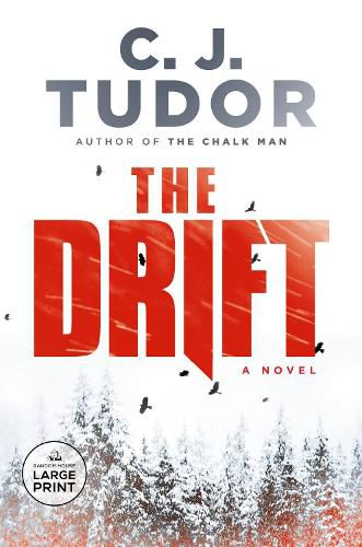 Cover image for The Drift: A Novel