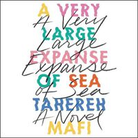 Cover image for A Very Large Expanse of Sea Lib/E