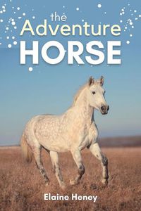 Cover image for The Adventure Horse: Book 5 in the Connemara Horse Adventure Series for Kids