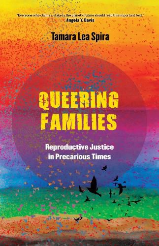 Cover image for Queering Families