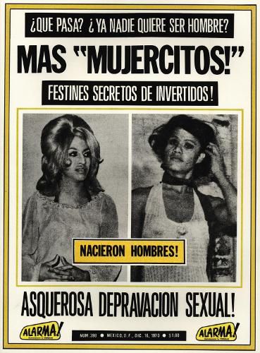 Cover image for Mujercitos