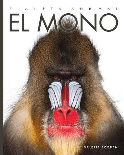 Cover image for El Mono