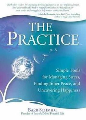 Cover image for The Practice