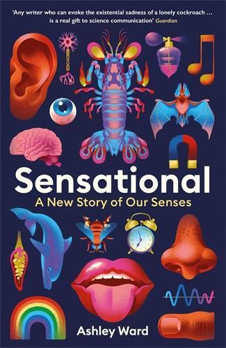 Cover image for Sensational