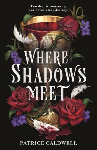 Cover image for Where Shadows Meet