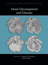 Cover image for Heart Development and Disease