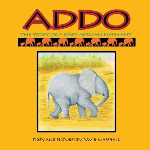 Addo: The Story of a Baby African Elephant