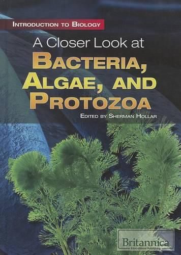 Cover image for A Closer Look at Bacteria, Algae, and Protozoa