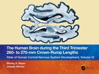 Cover image for The Human Brain during the Third Trimester 260- to 270-mm Crown-Rump Lengths