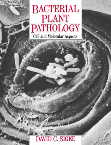Cover image for Bacterial Plant Pathology: Cell and Molecular Aspects