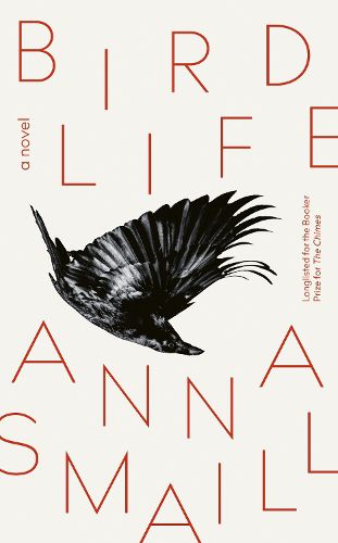 Cover image for Bird Life