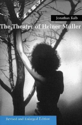 Cover image for The Theater of Heiner Muller