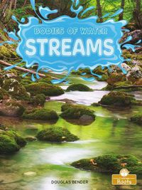 Cover image for Streams