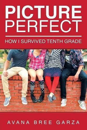 Cover image for Picture Perfect: How I Survived Tenth Grade