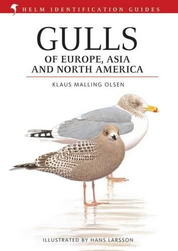 Cover image for Gulls of Europe, Asia and North America