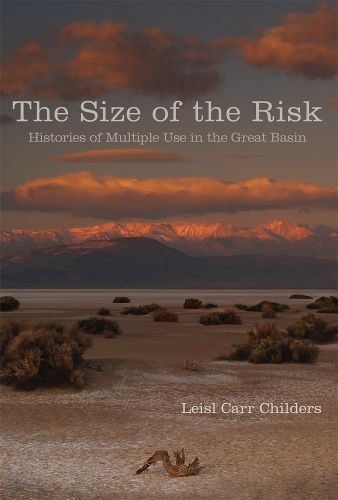 Cover image for The Size of the Risk