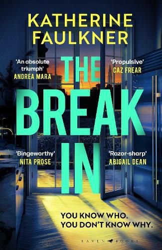 Cover image for The Break-In