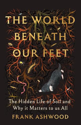 Cover image for The World Beneath Our Feet
