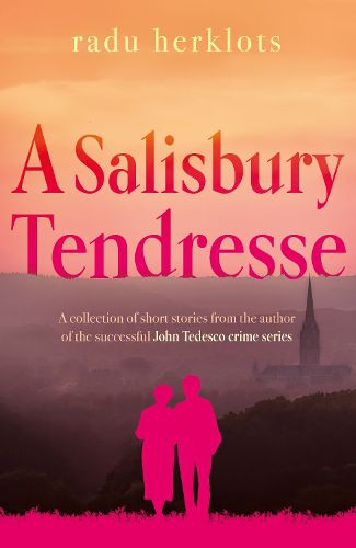 Cover image for A Salisbury Tendresse